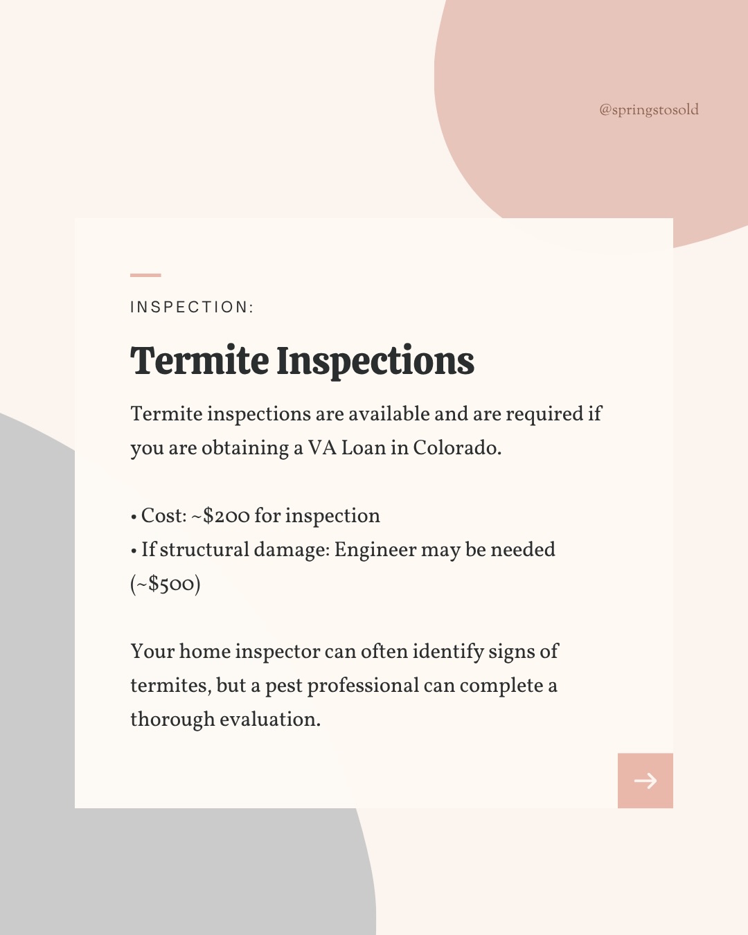 Think Colorado Springs doesn’t have termites?, photo 4