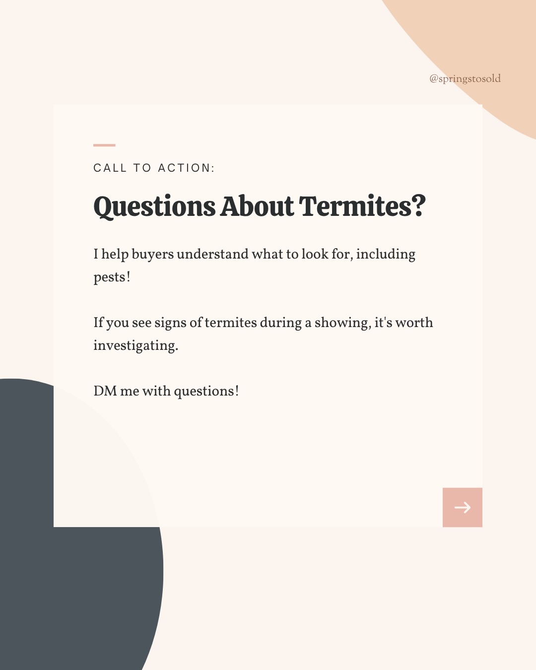 Think Colorado Springs doesn’t have termites?, photo 6