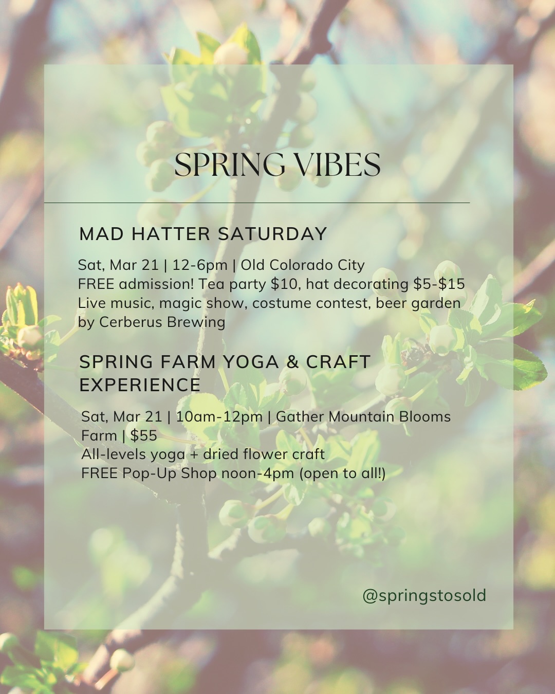Happy first day of Spring, Colorado Springs!, photo 3