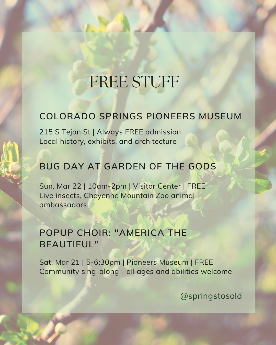 Happy first day of Spring, Colorado Springs!, photo 4