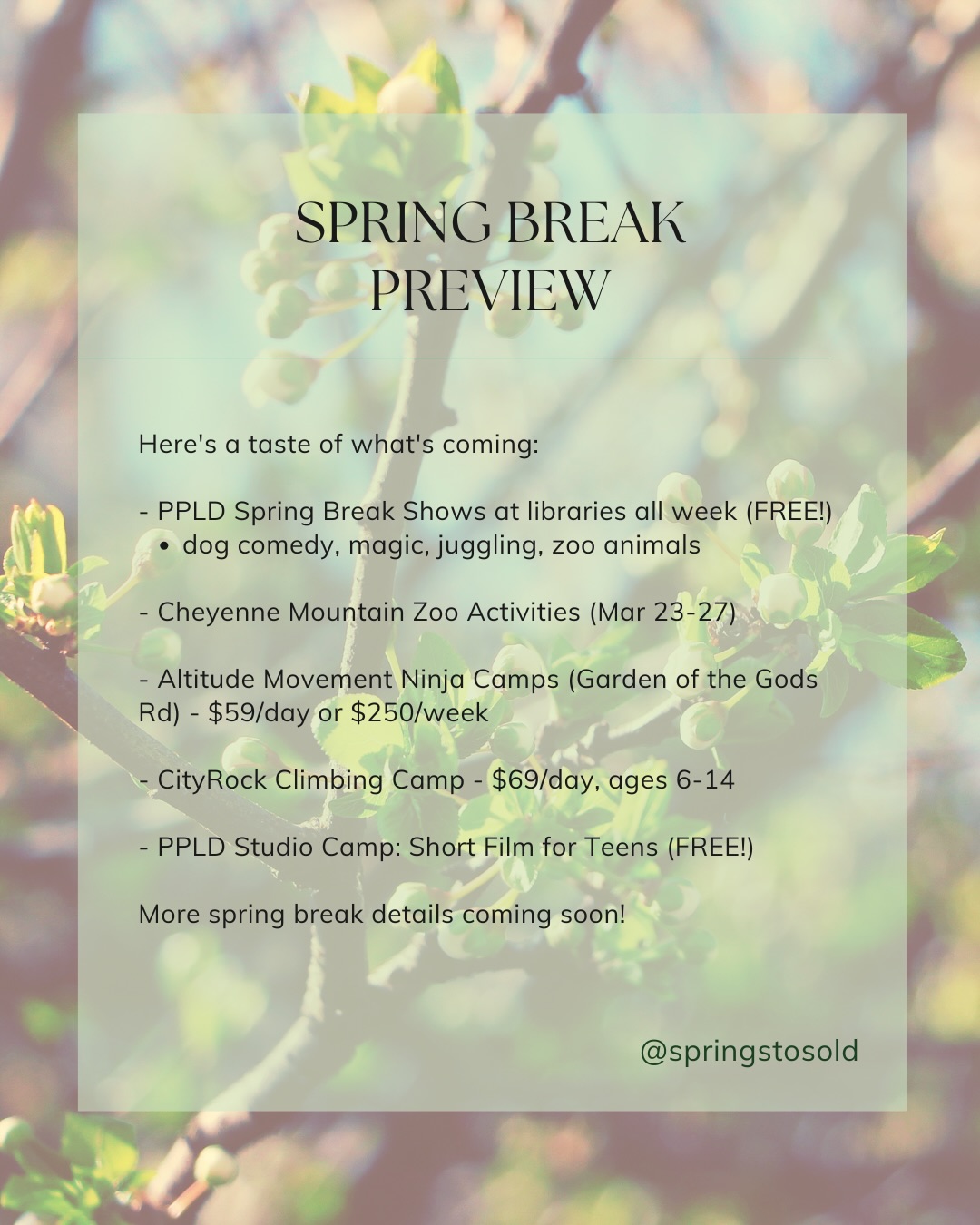 Happy first day of Spring, Colorado Springs!, photo 9