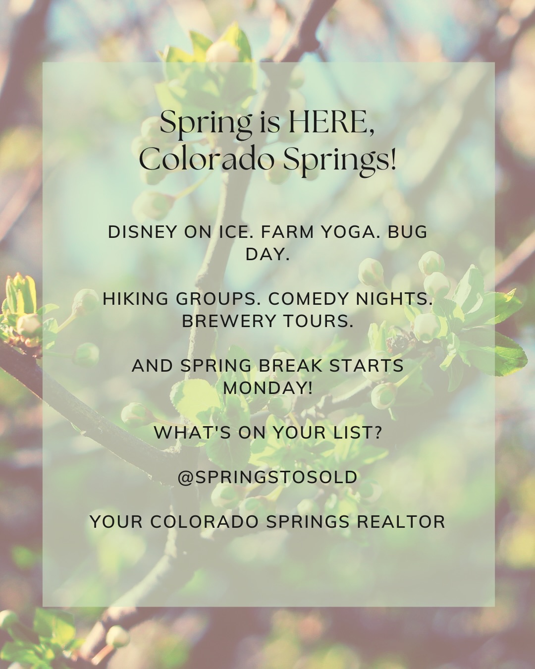 Happy first day of Spring, Colorado Springs!, photo 10