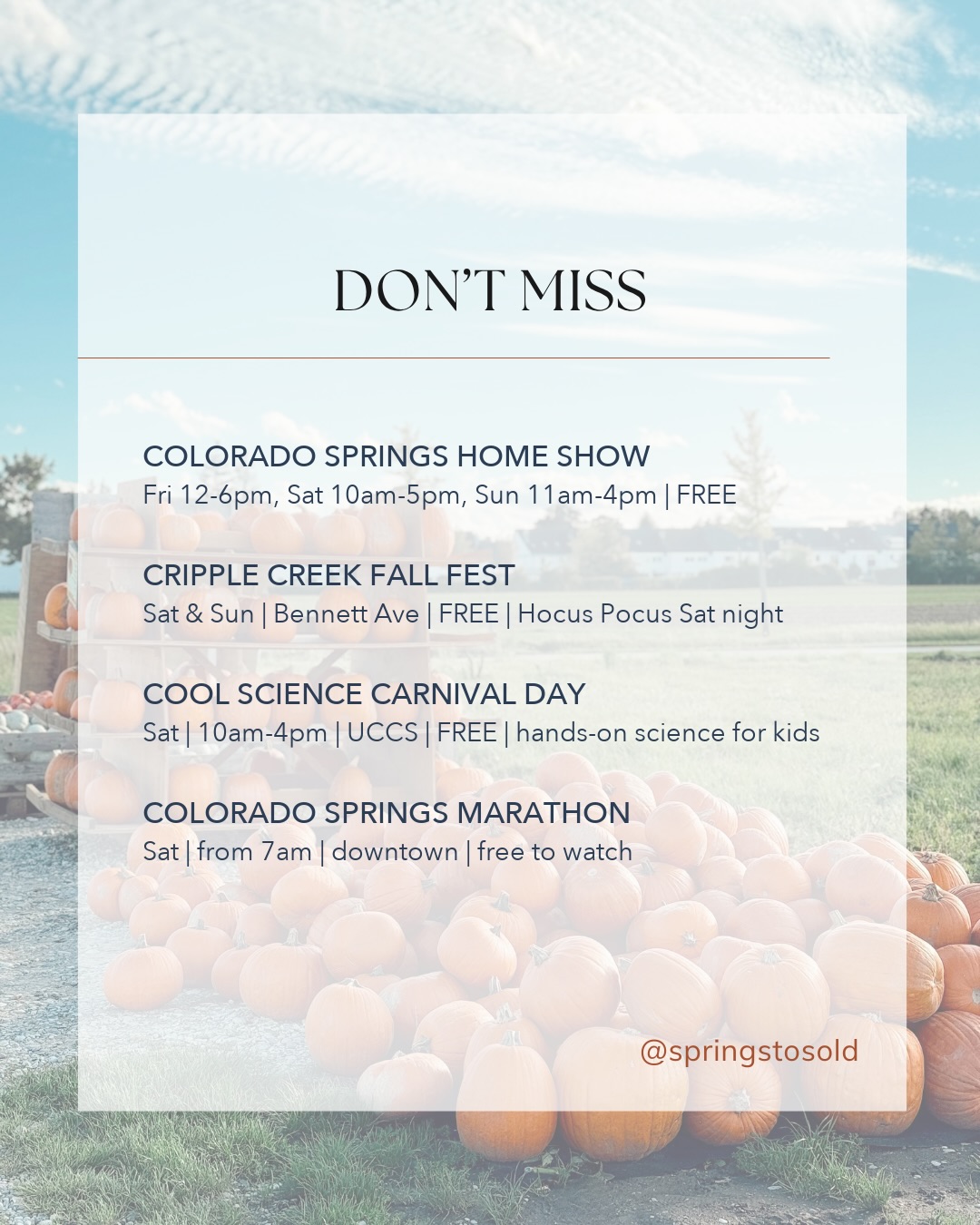 Pumpkin patch season is officially on!, photo 2