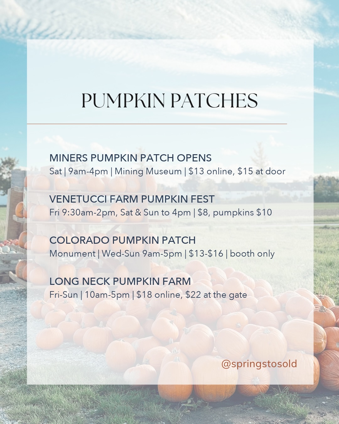 Pumpkin patch season is officially on!, photo 3