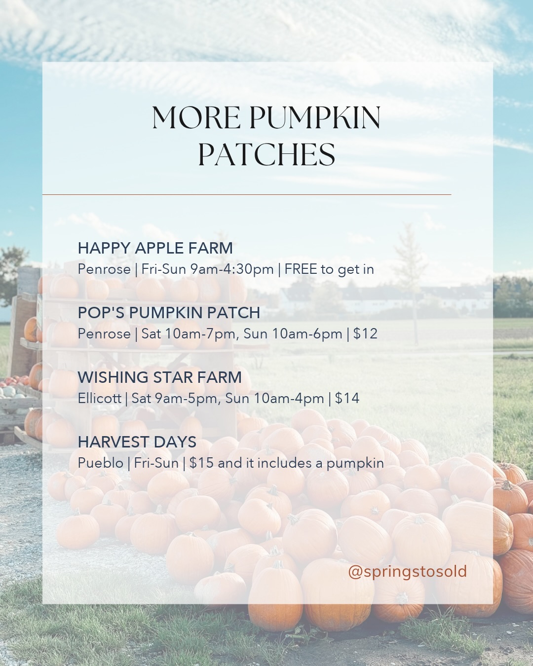 Pumpkin patch season is officially on!, photo 4