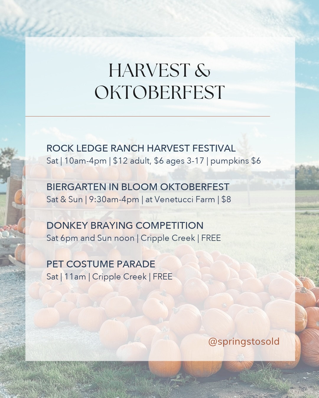 Pumpkin patch season is officially on!, photo 5