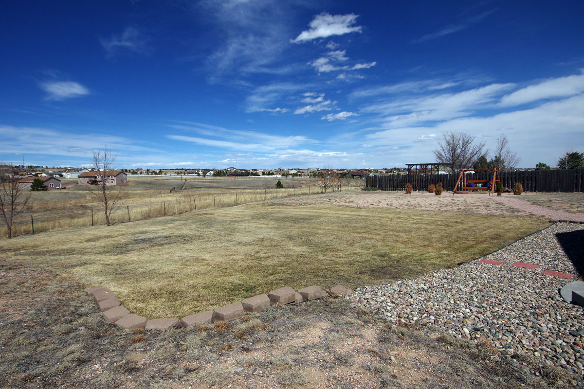 Backyard01